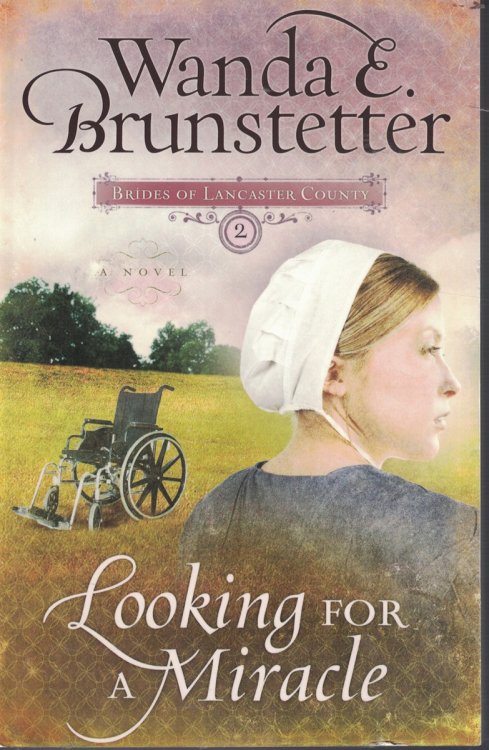 Looking for a Miracle Book 2