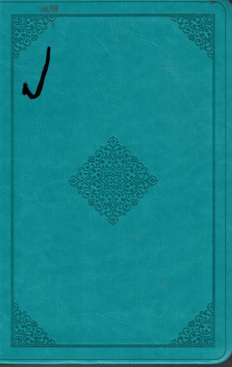 ESV Bible - Trutone Teal Ornamnet Design