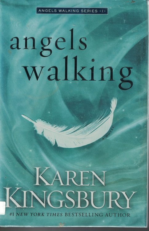 Angels Walking Book 1