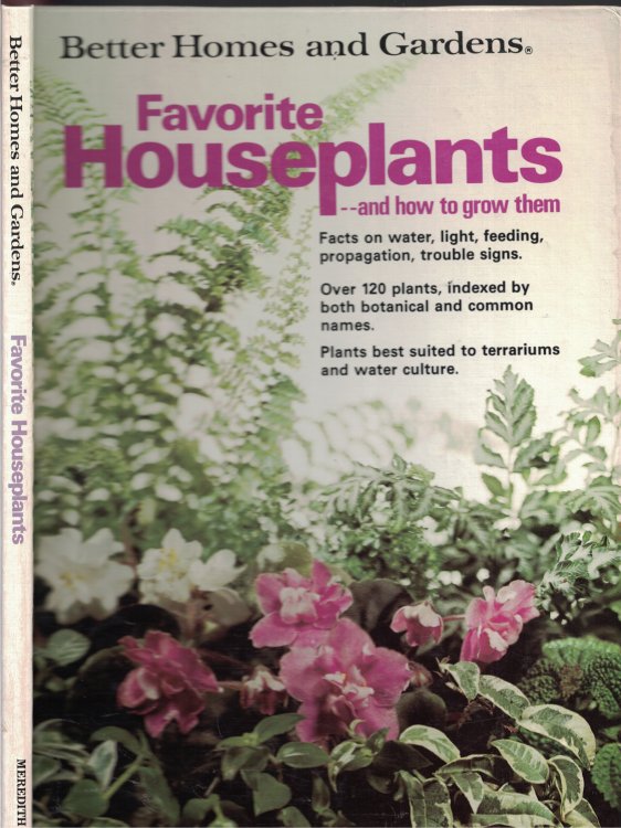 Favorite Houseplants And How To Grow Them