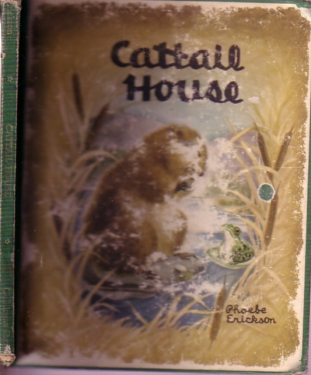 Cattail House