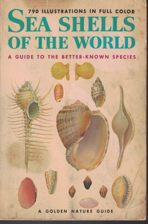 Sea Shells Of The World - A Guide To Better Known Species