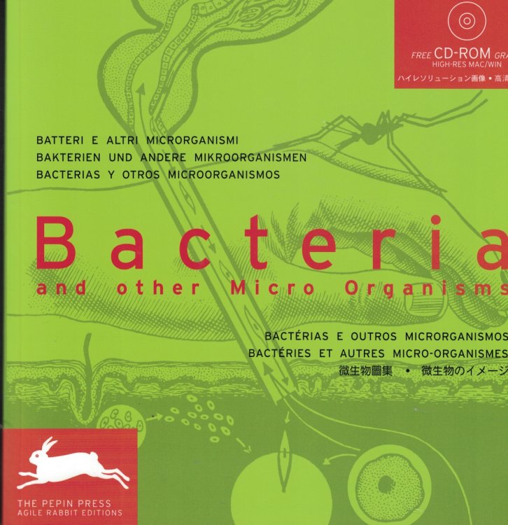 Bacteria And Other Mirco Organisms