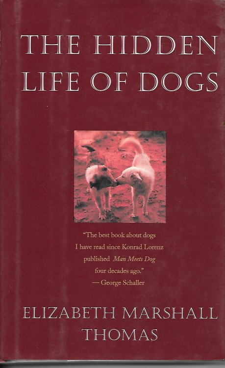 The Hidden Life Of Dogs