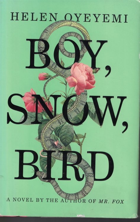 Boy, Snow, Bird