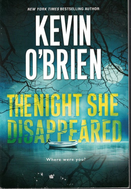 Night She Disappeared