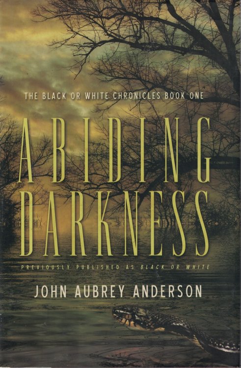 Image for Abinding Darkness Book 1 Abinding Darkness Book 1