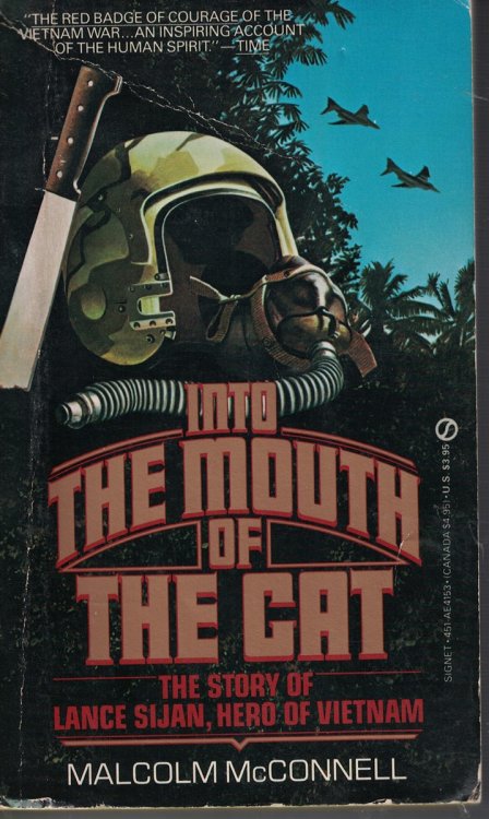 Into the Mouth of the Cat - the Story of Lance Sijan, Hero of Vietnam