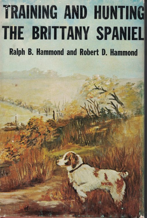 Training And Hunting The Brittany Spaniel