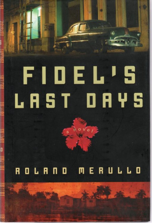 Fidel's Last Days
