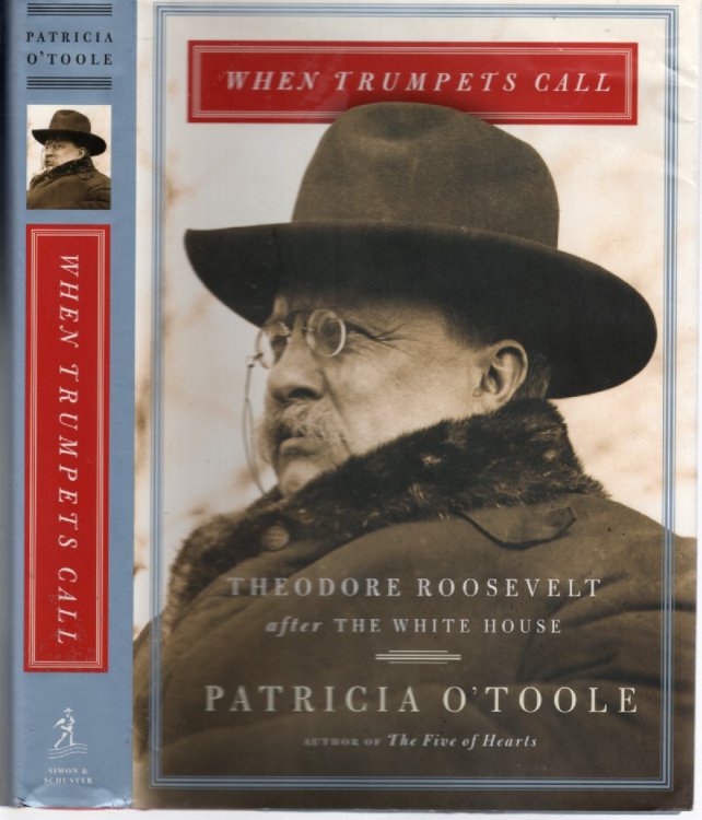 When Trumpets Call Theodore Roosevelt after the White House