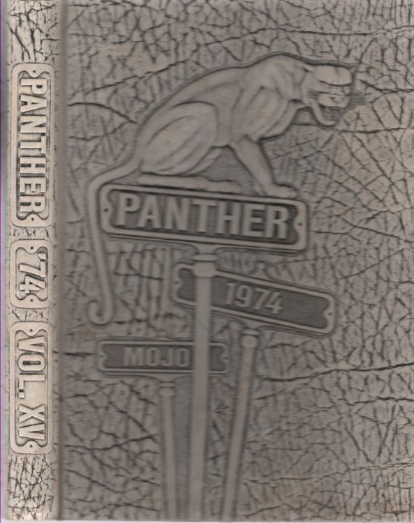 The Panther Mojo Volume XV, 1974