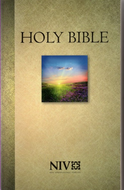 Holy Bible NIV