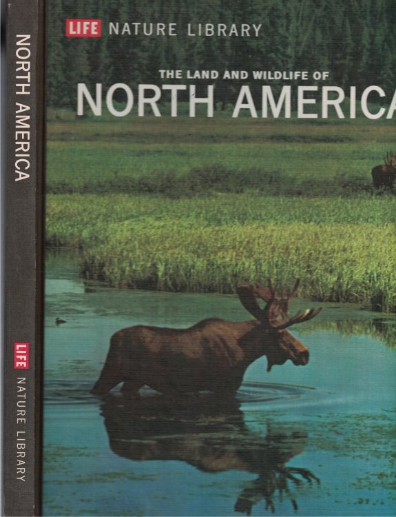 Land And Wildlife Of North America