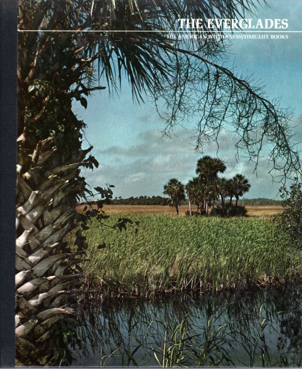 The Everglades