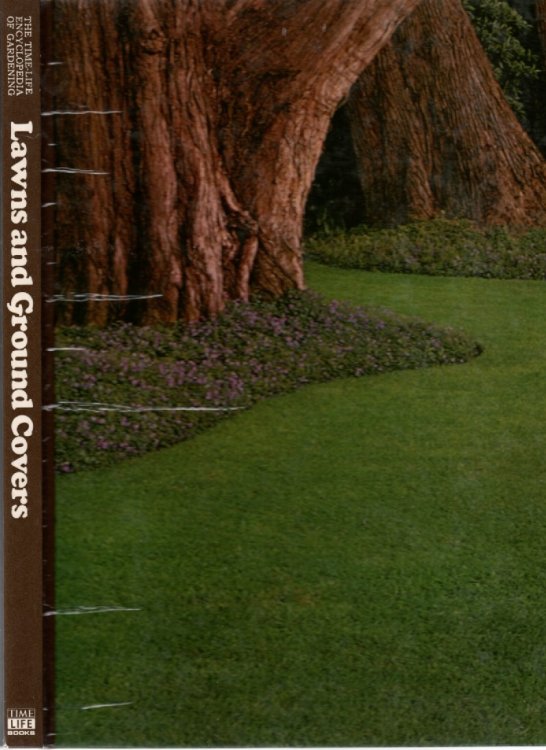 Lawns And Ground Covers