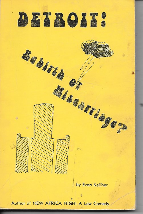 Detroit Rebirth or Miscarriage