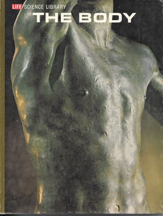 The Body