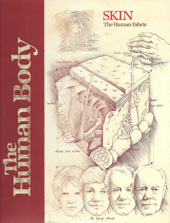 Skin The Human Fabric