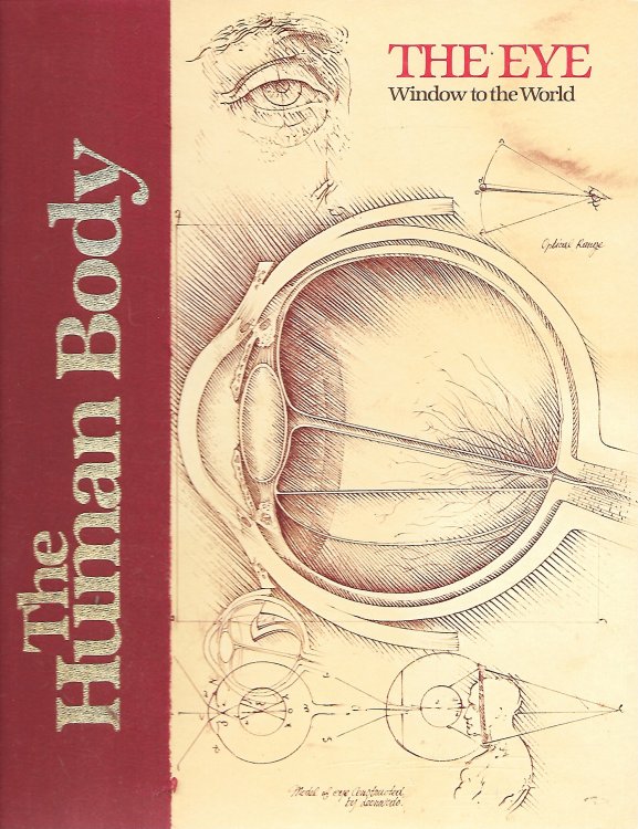 The Eye Window to the World