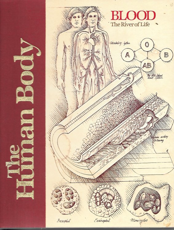 Blood The River of Life