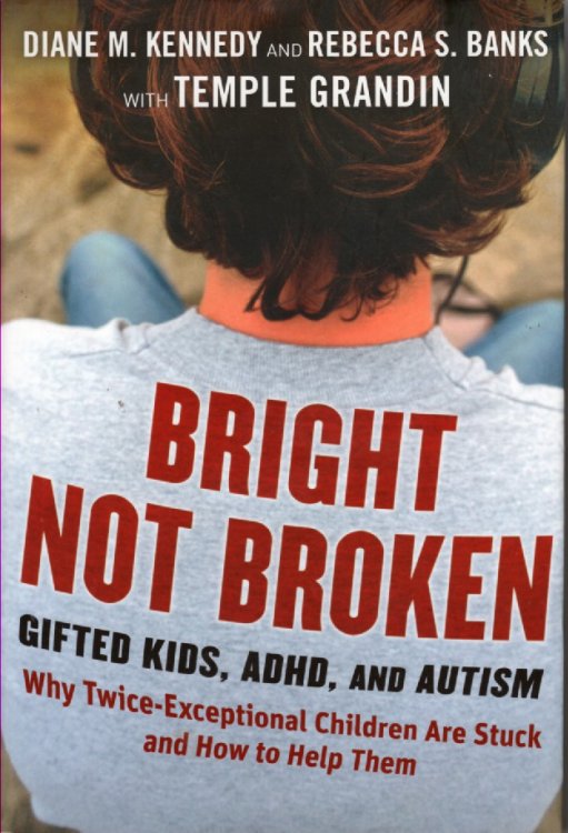 Bright Not Broken; Gifted Kids, ADHD, and Autism