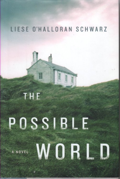 The Possible World
