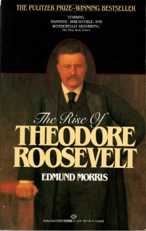 The Rise of Theodore Roosevelt