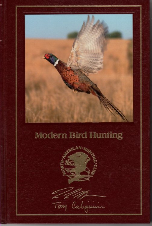 Modern Bird Hunting
