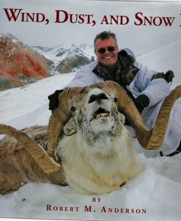 Wind, Dust, And Snow II