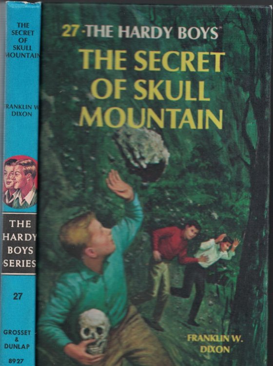 The Secret Of Skull Mountain Book 27