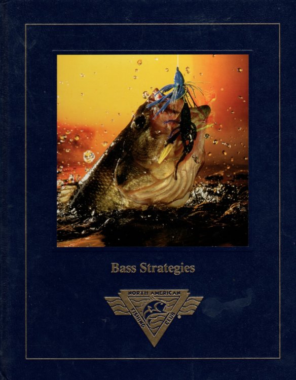 Bass Strategies