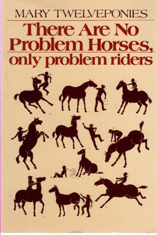 There Are No Problem Horses, Only Problem Riders