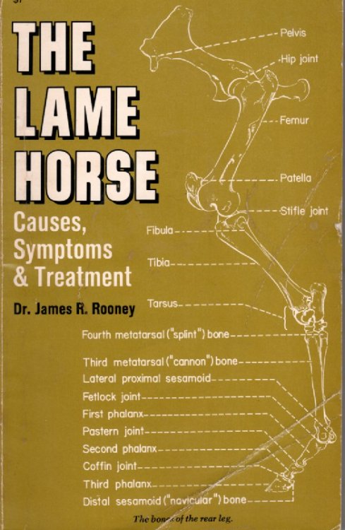 The Lame-Horse; Causes, Symptoms and Treatments