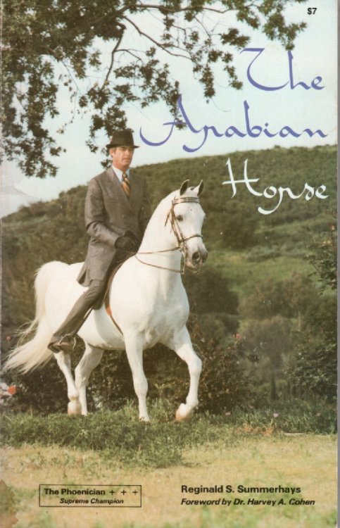 The Arabian Horse