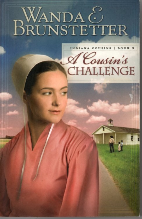 A Cousin's Challenge; Book 3