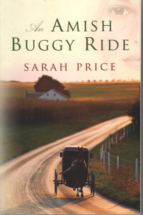 An Amish Buggy Ride