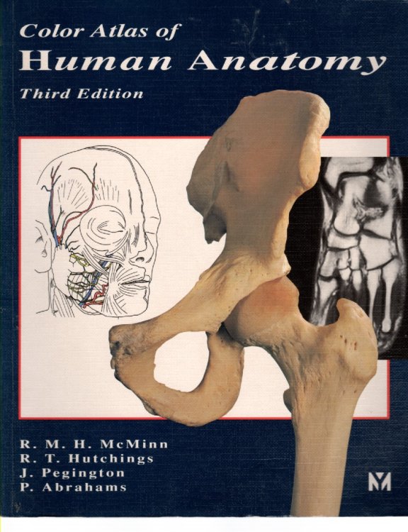 Color Atlas of Human Anatomy