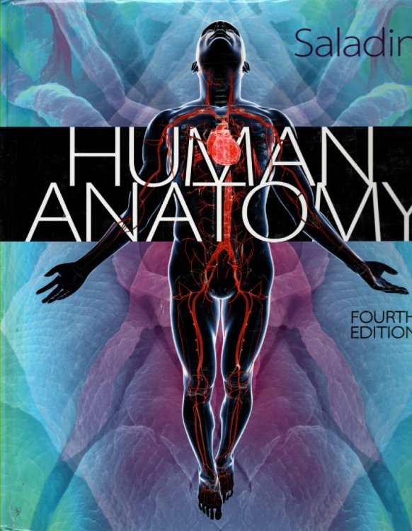 Human Anatomy