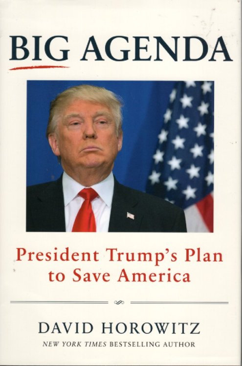 Big Agenda President Trump's Plan to Save America