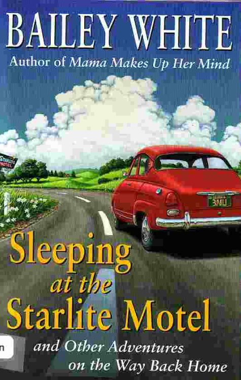 Sleeping At The Starlite Motel