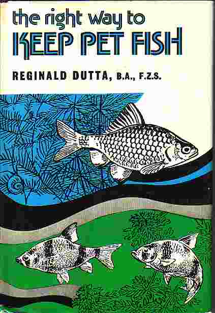 The Right Way To Keep Pet Fish