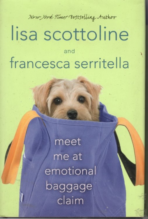 Meet Me At Emotional Baggage Claim