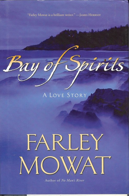 Bay Of Spirits A Love Story