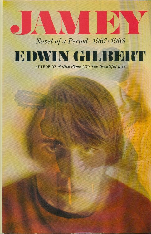 Jamey; Novel of a Period (1967-1968)