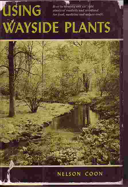 Using Wayside Plants