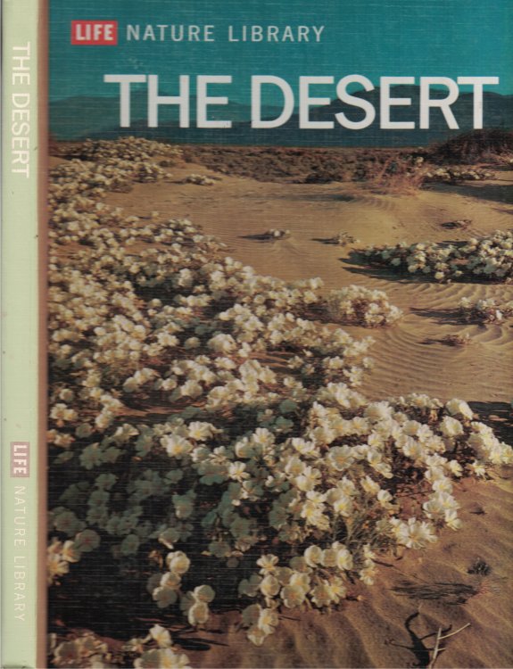 The Desert