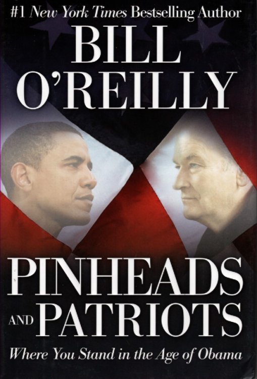 Pinheads and Patriots Where You Stand in the Age of Obama