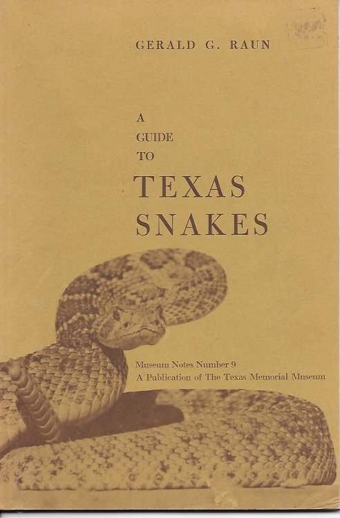 A Guide To Texas Snakes