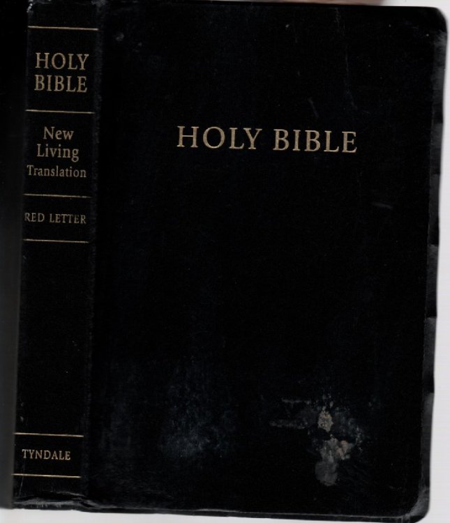 Strand of a Thousand Pearls